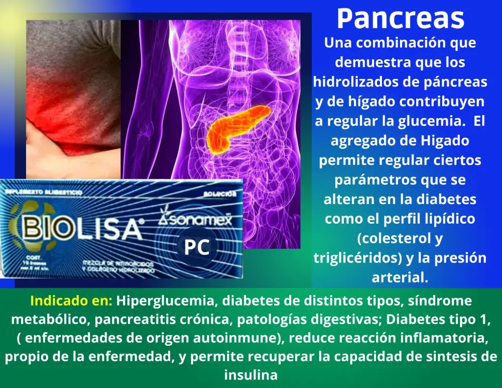 [PC] Pancreas