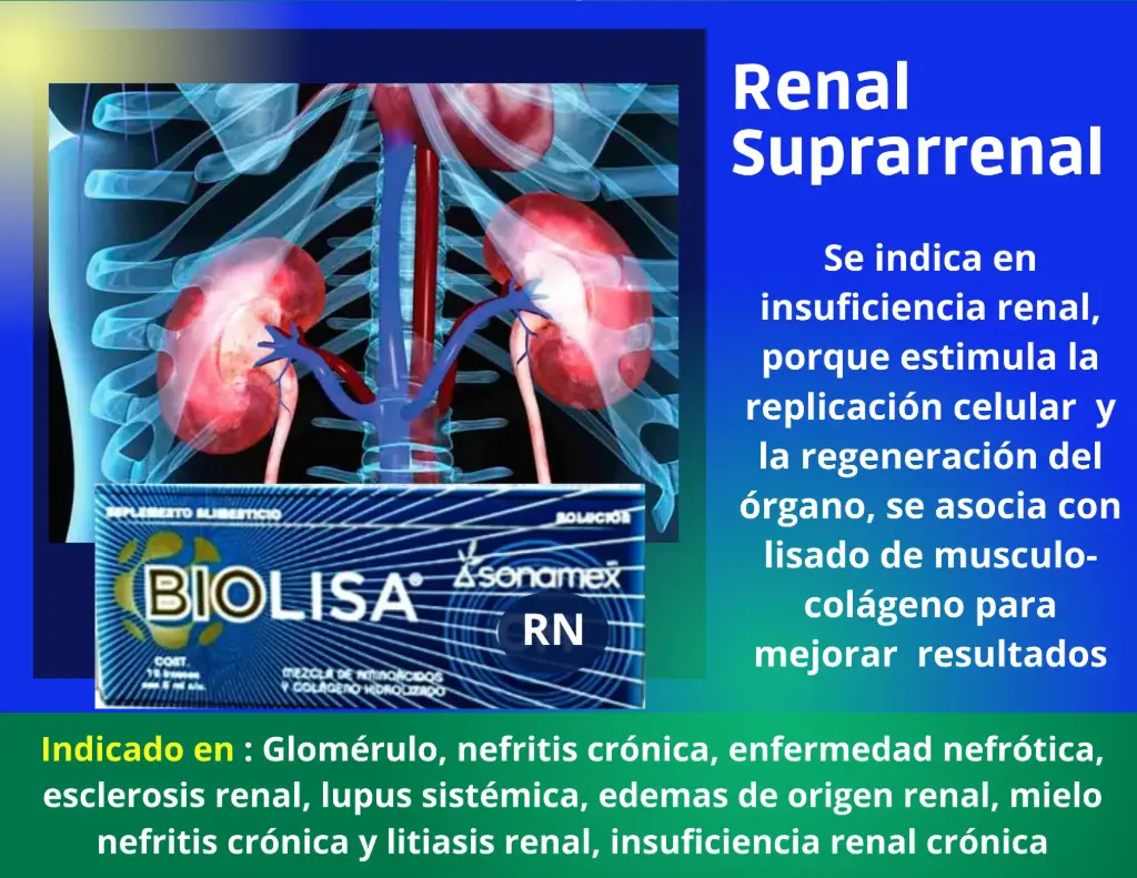 [RN] Renal Suprarrenal
