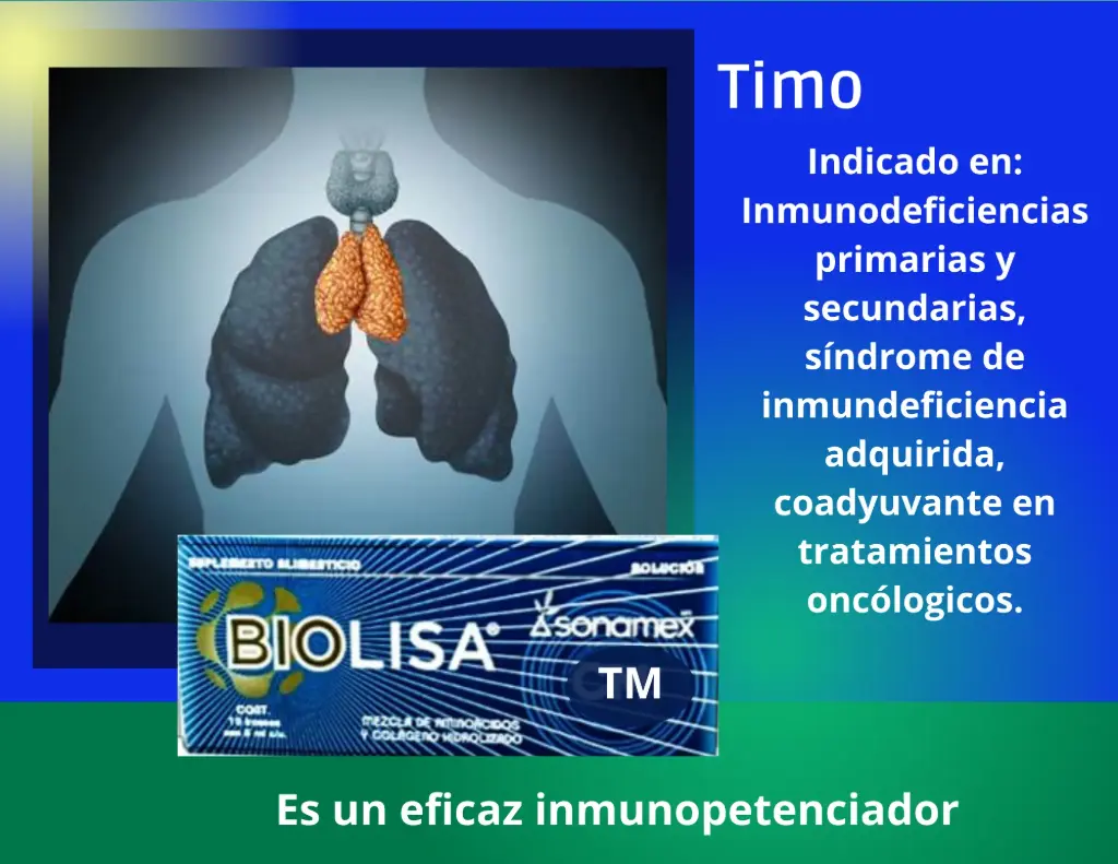 Timo