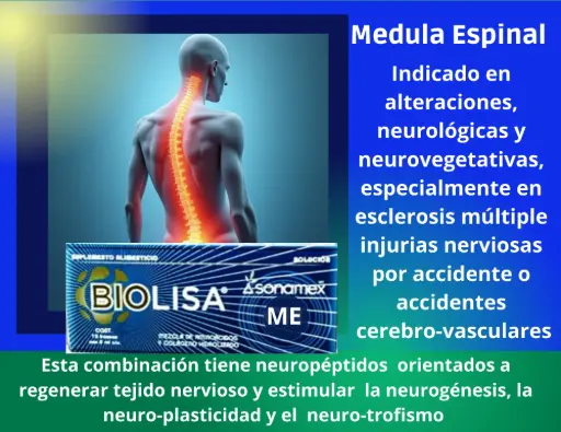 [ME] Lisado de Medula Espinal