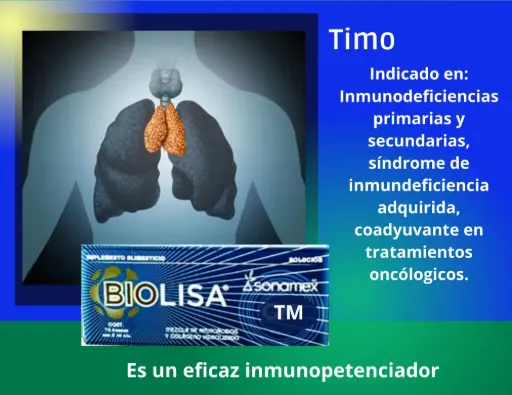 Timo